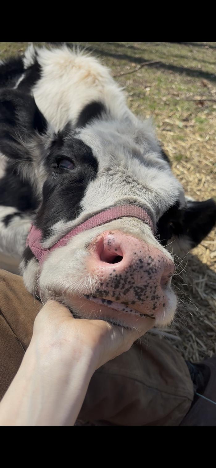 [Thumbnail for IMG_5149.png]