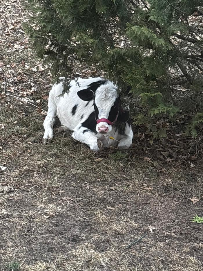 [Thumbnail for IMG_4776.jpeg]