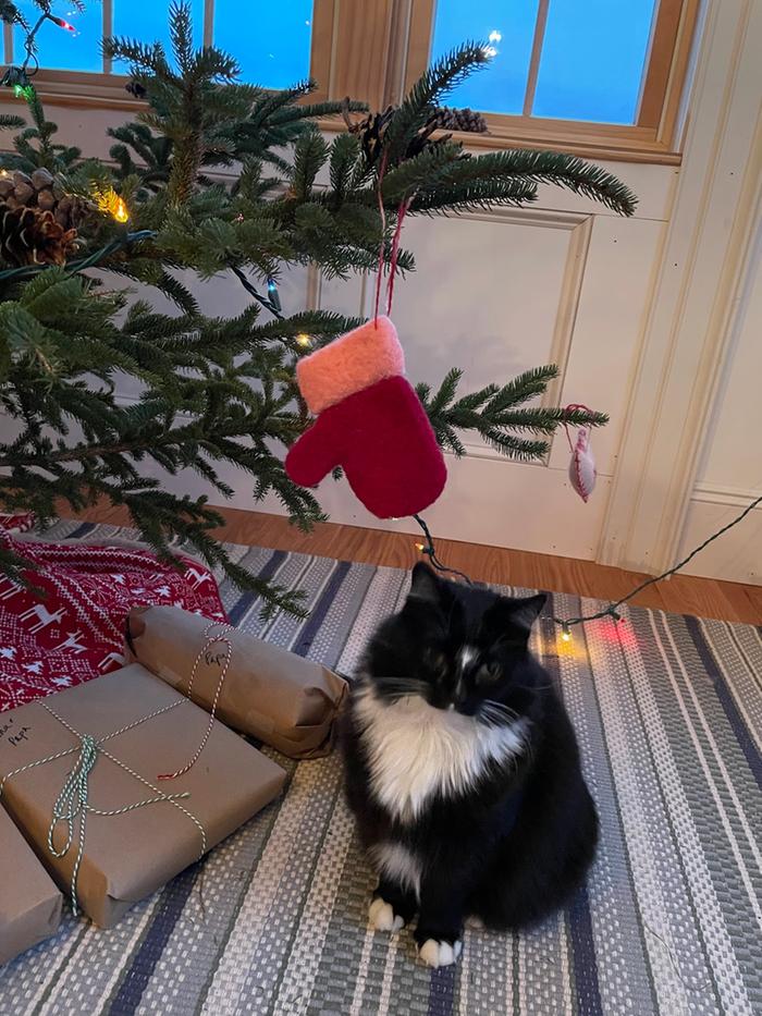 felted mitten ornament