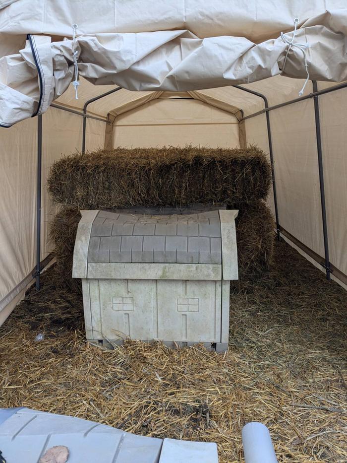 Back of the shelter, front of the carport with door opened. Extra doghouse in back of new shelter