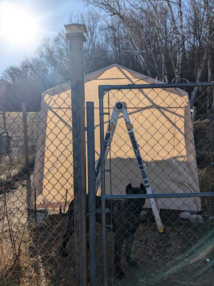 Finishing up. Back of carport with Presa Canario standing guard.