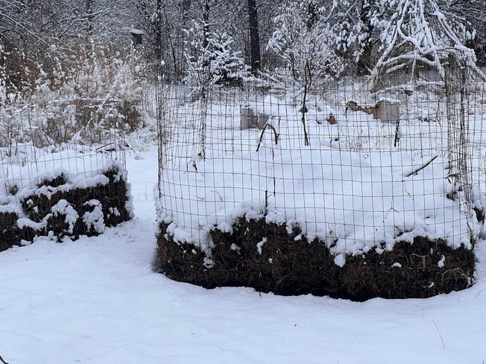 The snow has begun.