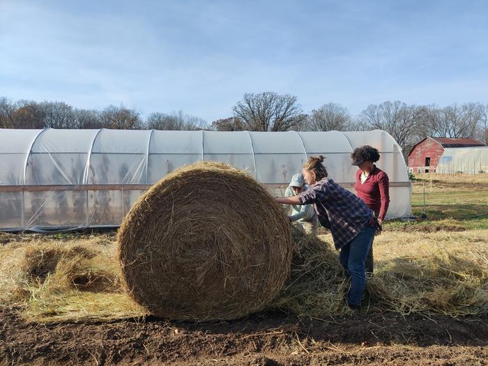 Philadelphia Farms