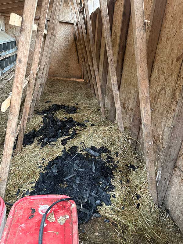 [Thumbnail for 5.jpg]