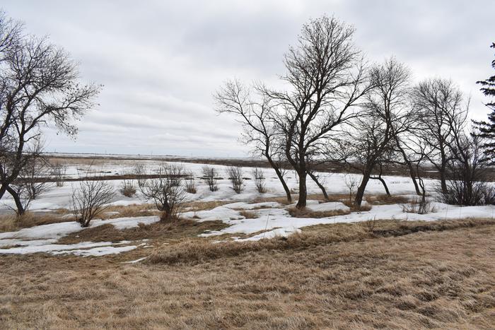 Looking southeast - our plants have an impact on the surrounding field but theirs is mostly bare now