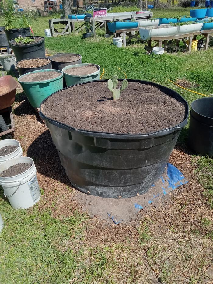 300 gallon planter
