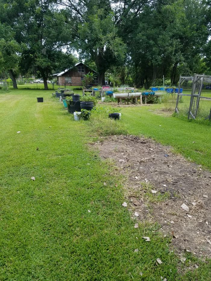 removing old beds, moving garden closer to house