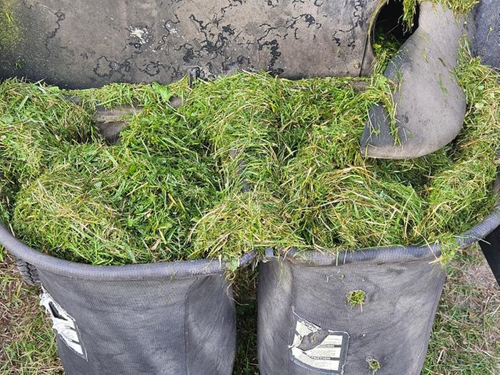 Silage in mower bagger