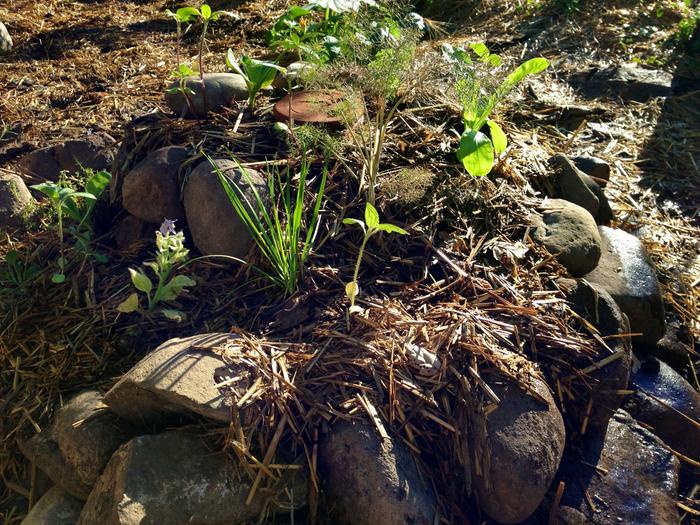 [Thumbnail for image.jpg]