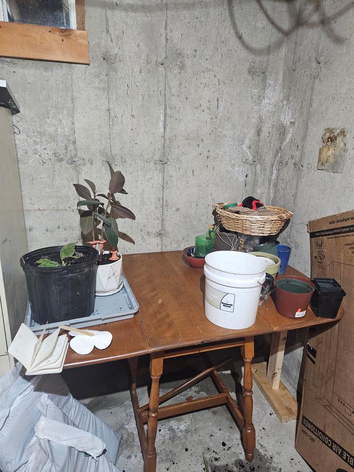 [Thumbnail for 20251015_212428.jpg]