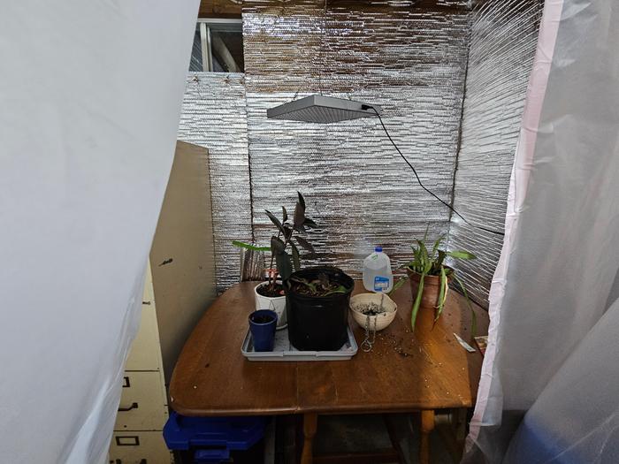 [Thumbnail for 20251030_193301.jpg]