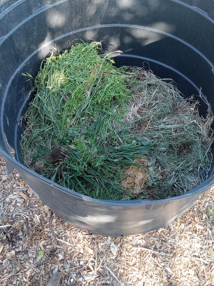 Keep weed bins spread all around