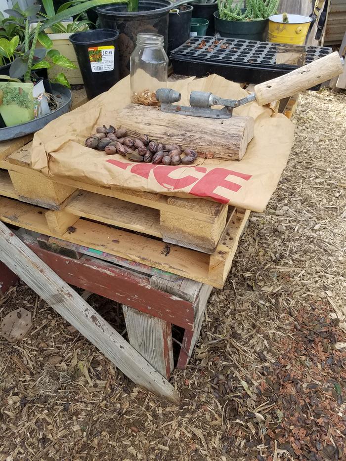 Standing crack and shell station