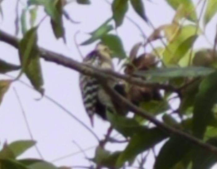 This guy wasn't too happy sharing with me, I took a lot.