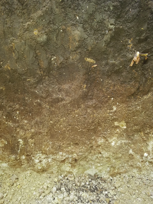 Our dirt goes from black to orange to white ...and the rocks get steadily bigger