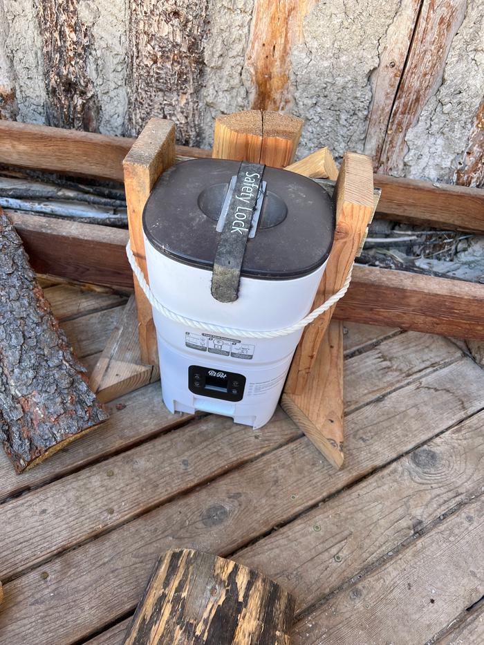 Automatic cat feeder at the abbey, partially protected 