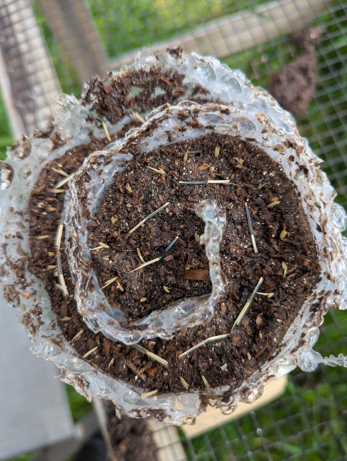 [Thumbnail for PXL_20260228_211136816.jpg]