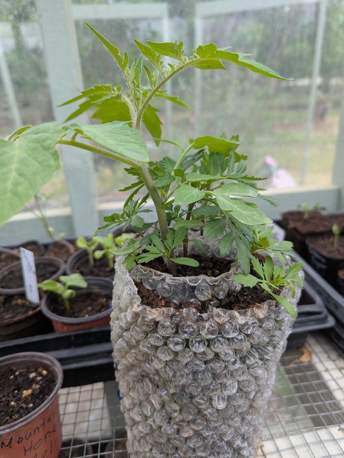 [Thumbnail for PXL_20260410_192251791.jpg]