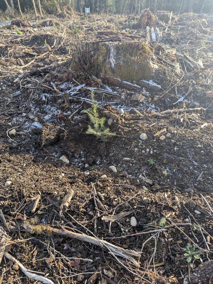 [Thumbnail for PXL_20250120_220134986.jpg]