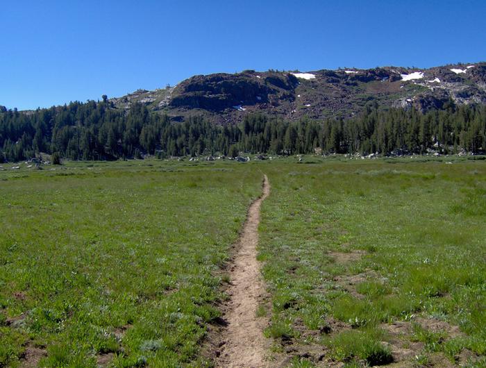 The meadow to the north east of Snow Lake and North West of Bond Pass. Single track trail.