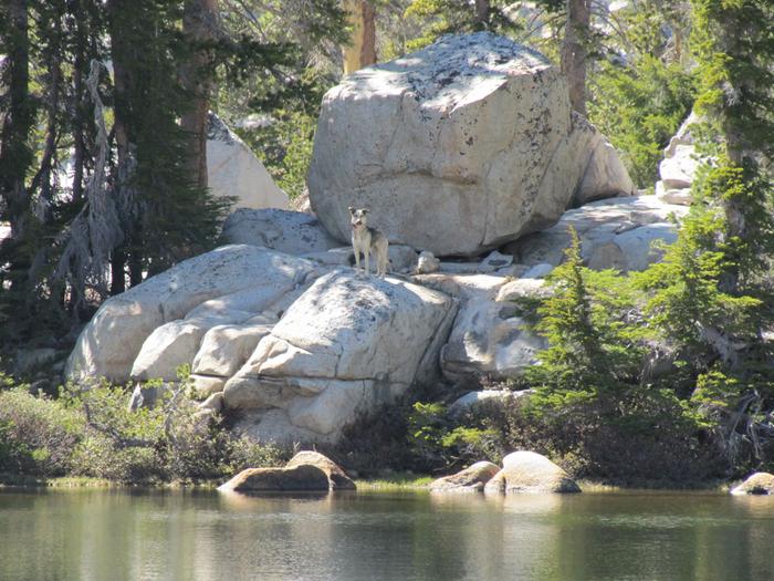 [Thumbnail for Charlotte-at-Snow-Lake.JPG]
