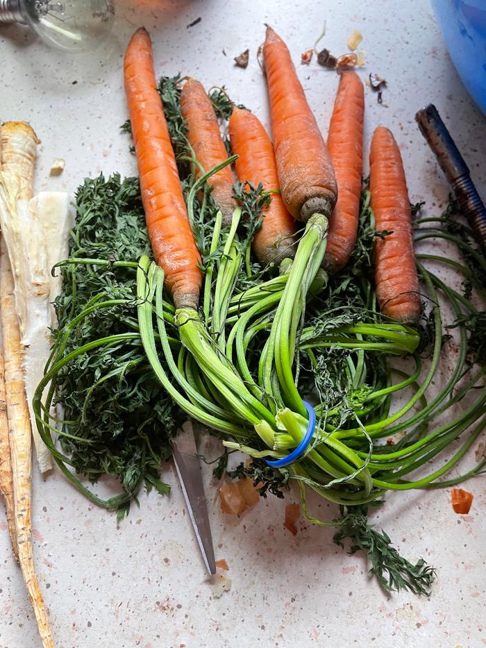 [Thumbnail for IMG_7031.jpeg]