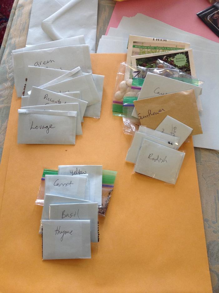 3 sets of seed starter packs, ready to ship