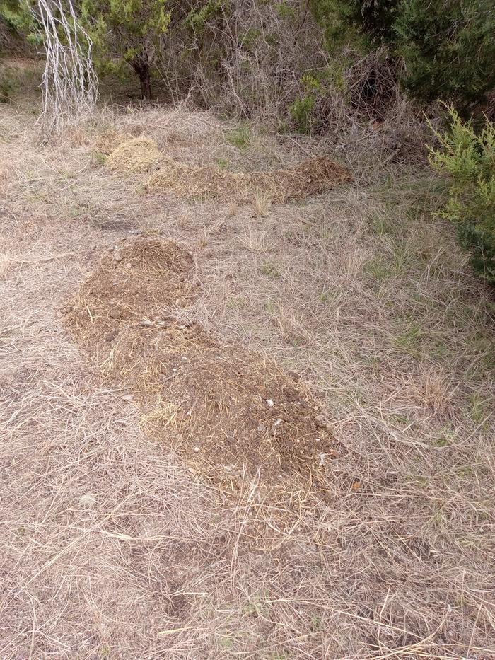 Building up berms and swales rather than digging them