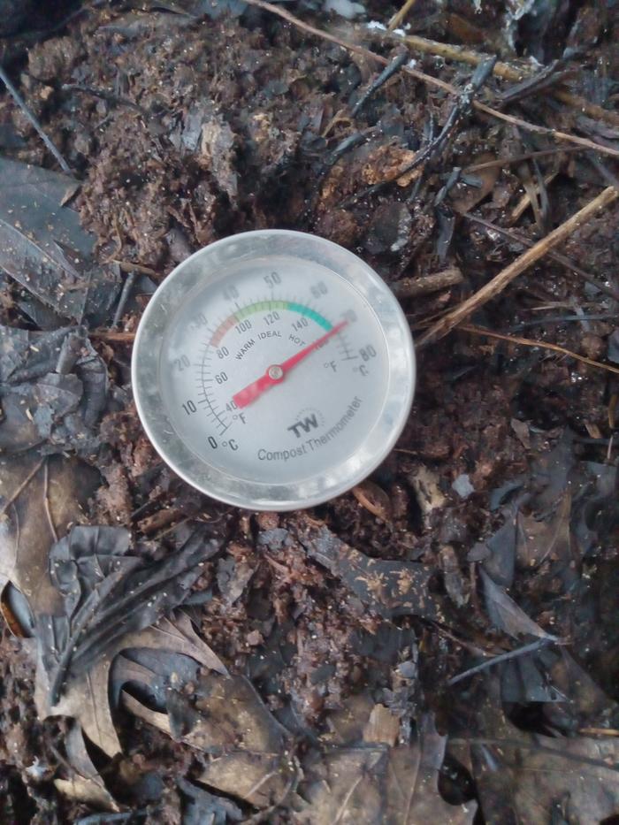 Up 80 degrees in 4 days after 1st flip