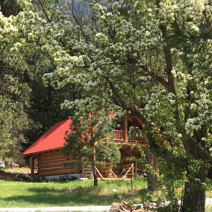 Duncan Cabin