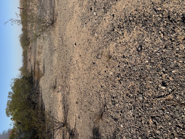 [Thumbnail for Rocks2.jpg]