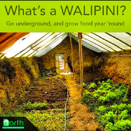 [Thumbnail for Walipini.jpg]