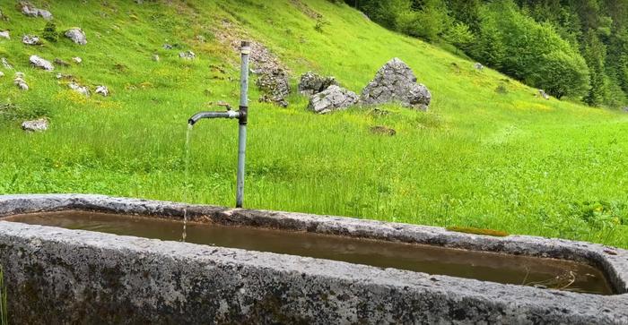 [Thumbnail for Spring-Water-Faucet-in-Yard.jpg]