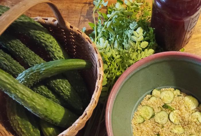 cucumbers, moringa, bulgur, vegetable broth