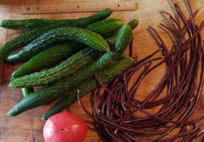 cucumbers, tomato and long beans