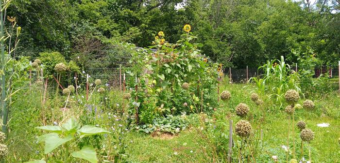 [Thumbnail for IMG_20250708_140118_610-2.jpg]