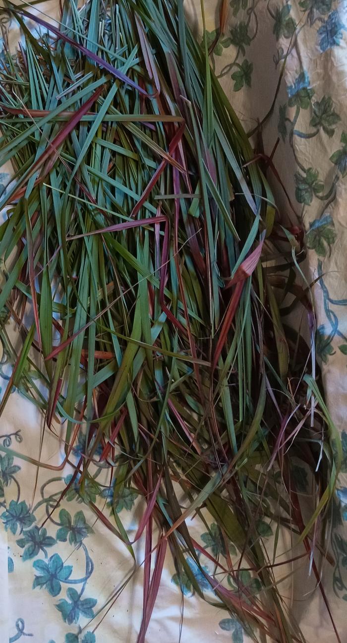 lemon grass