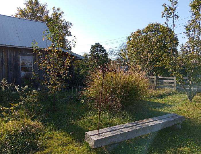yard