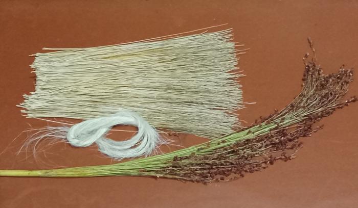 Going to make a broom with yucca twine
