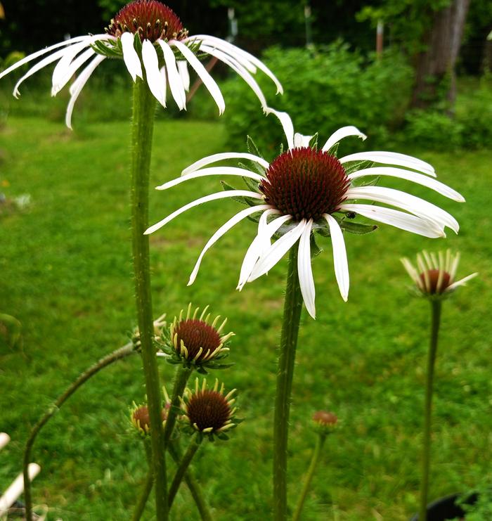 [Thumbnail for IMG_20260516_153005_869-2.jpg]
