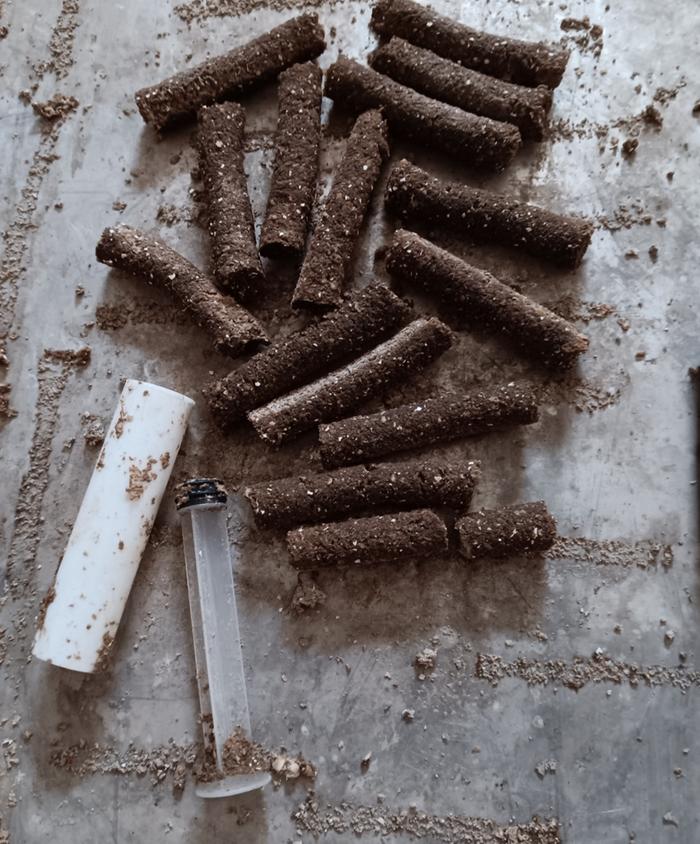 Home made fertilizer 