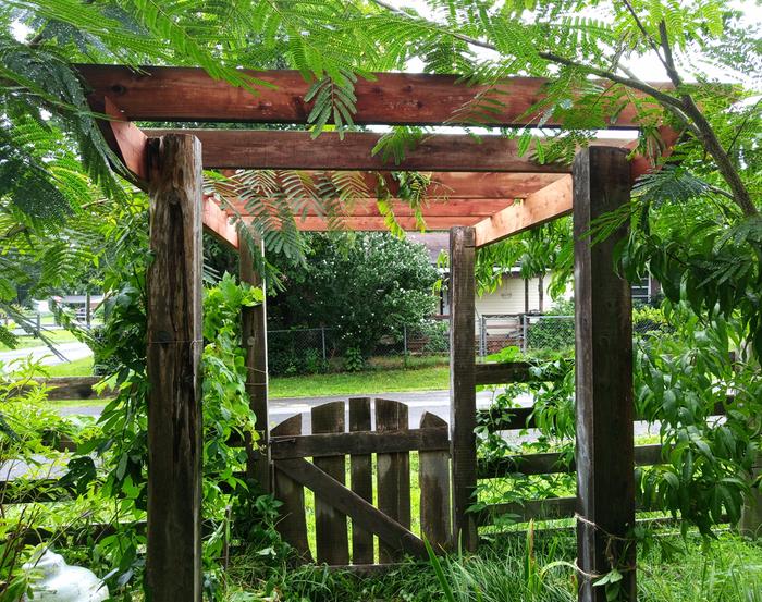 wooden pergola with arched gateway and fence covered in green climbing plants