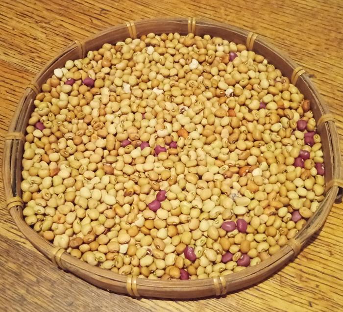 assorted cow peas