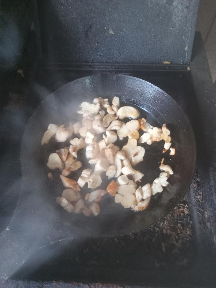 Sautee fresh shrooms in oil with salt n pepper