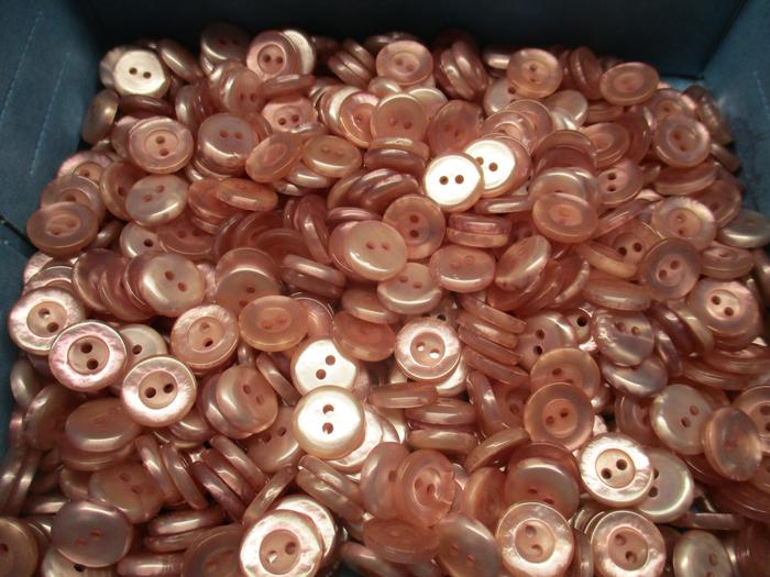 [Thumbnail for IMG_1194.JPG]