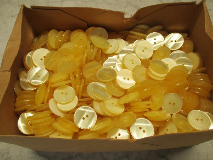 [Thumbnail for IMG_1211.JPG]