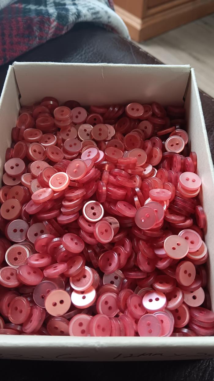 [Thumbnail for 20250213_113706.jpg]