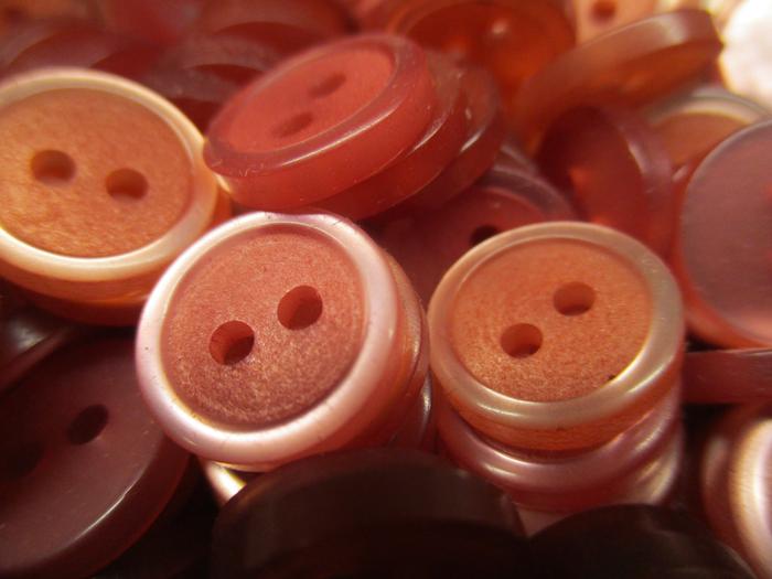 [Thumbnail for IMG_1185.JPG]