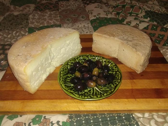 Homemade sheep cheese from Portugal in two halves with a bowl of olives between them.