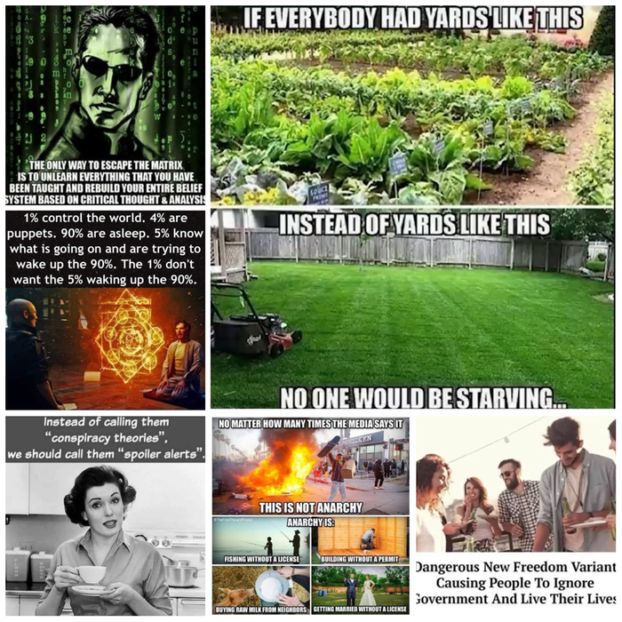 [Thumbnail for meme-collage-1.jpg]